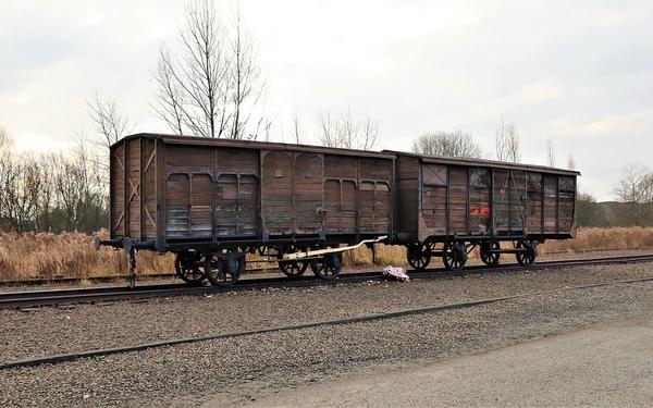 Viewagen