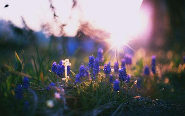 Im Frühling werden die Sonnenstrahlen wieder kräftiger