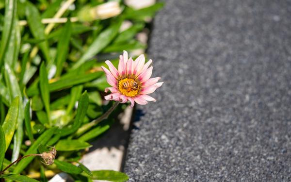 Die kleinen Wunder im Leben werde oft übersehen