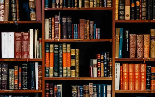 Die Bibel ist mehr als simple Literatur