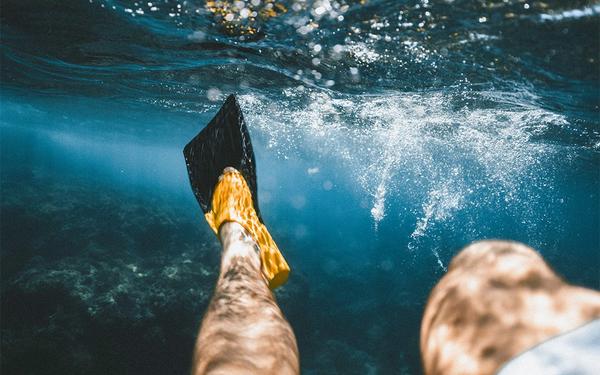 Flossen unter Wasser